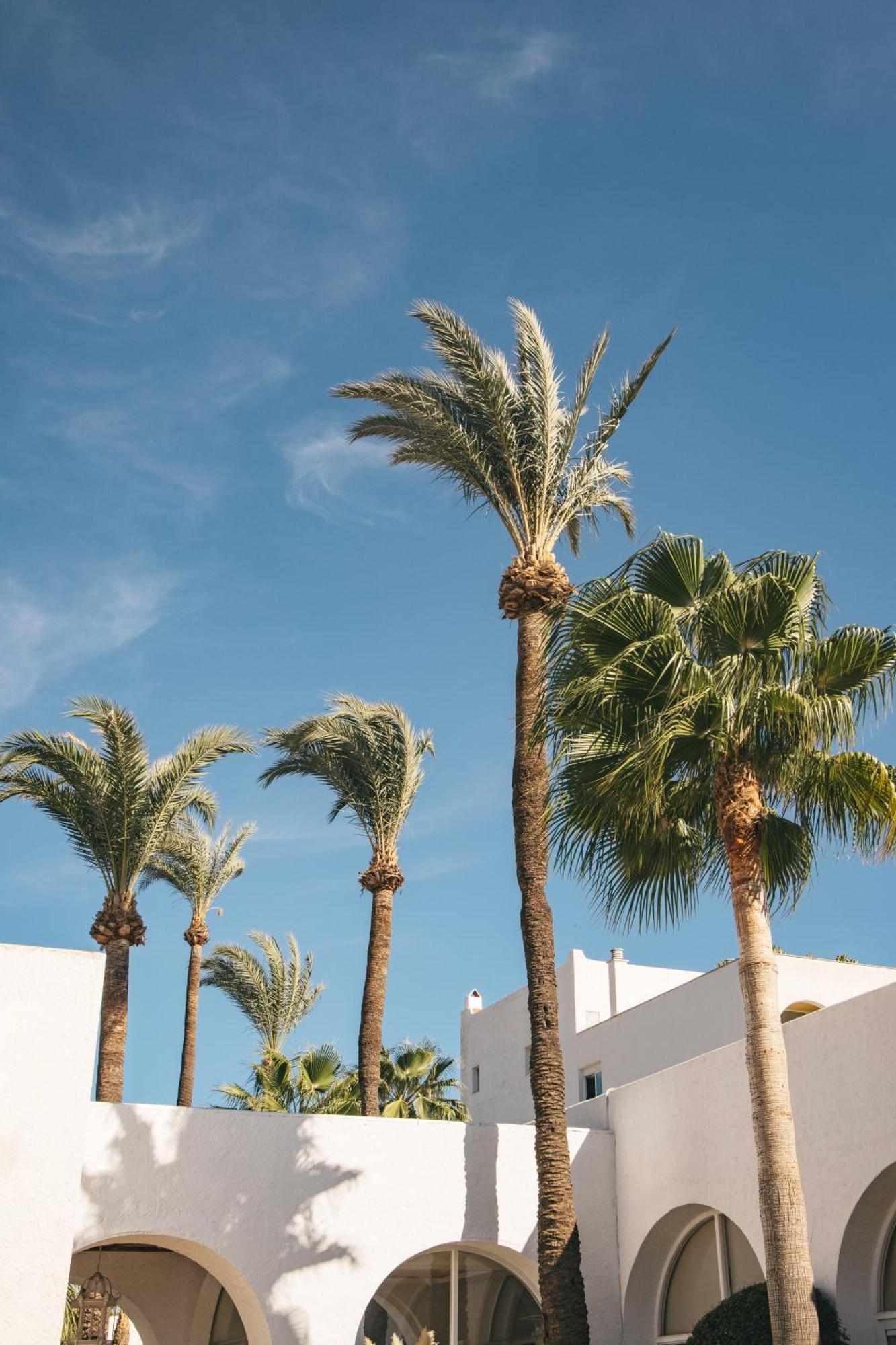 Me Marbella Hotel Exterior photo Palm trees in Las Vegas